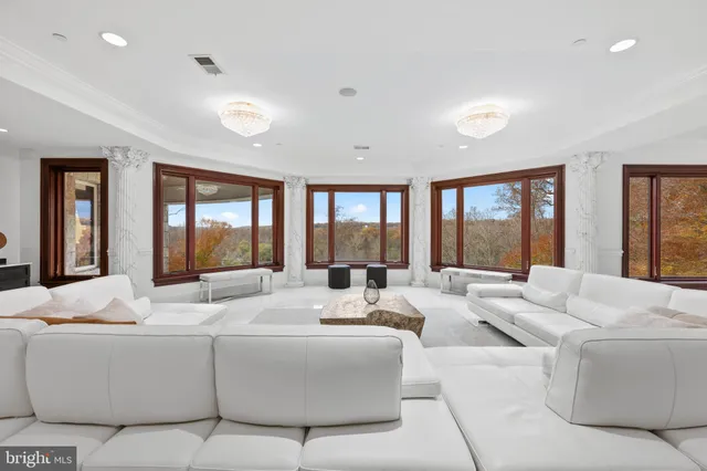 a living room with furniture floor to ceiling window and potted plant