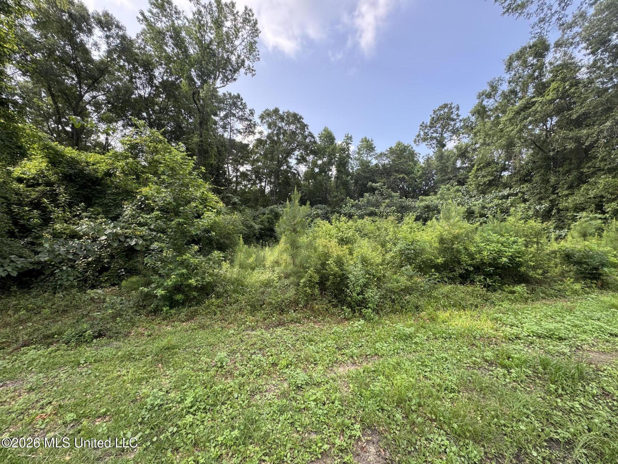 2980 Dwyer Branch Road Vancleave, MS 39565 - Photo 29 of 106 IMG_2606