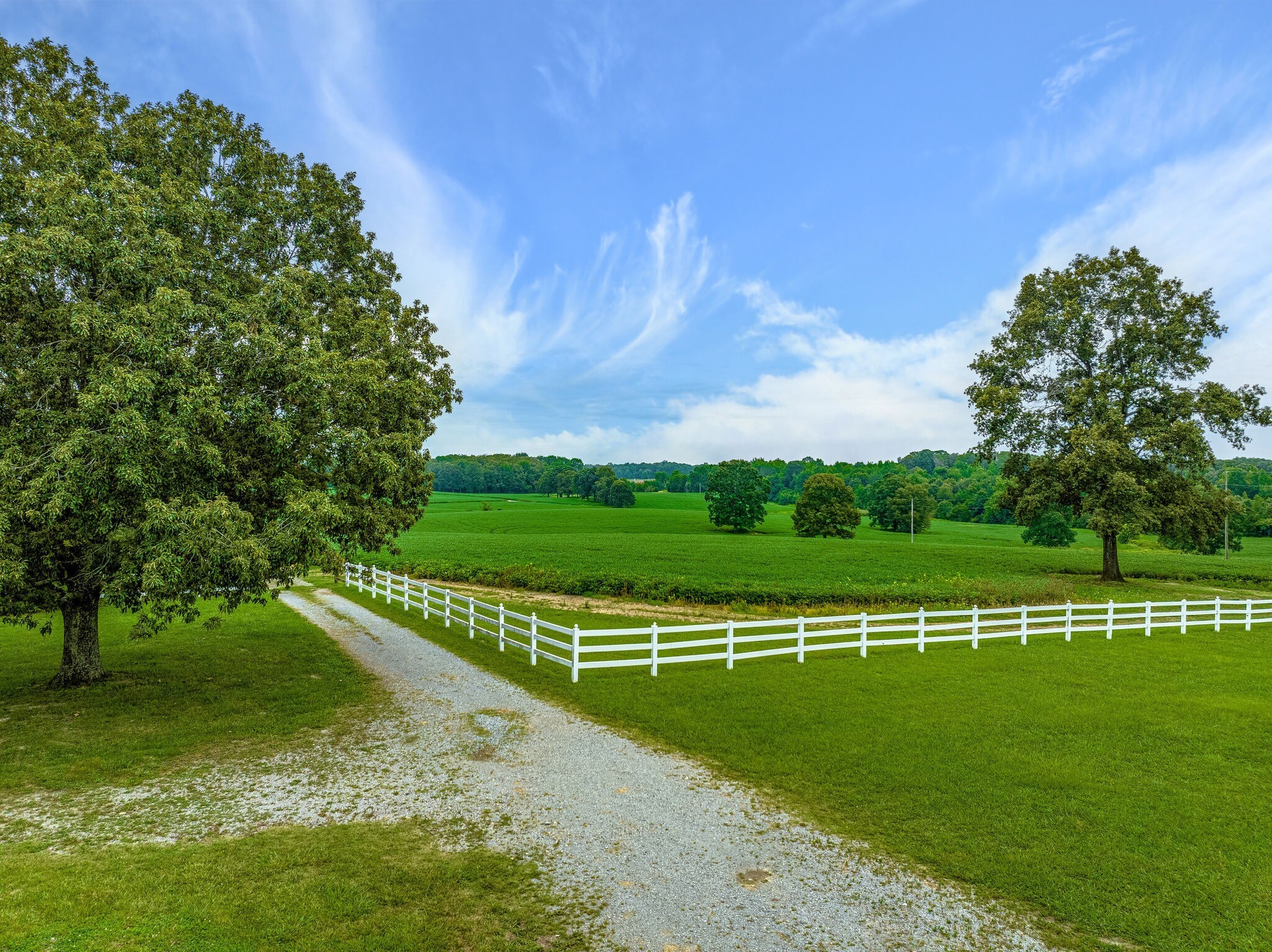 2385 Sylvia Road Dickson, TN 37055 - Photo 12 of 46 a view of a golf course with a lake