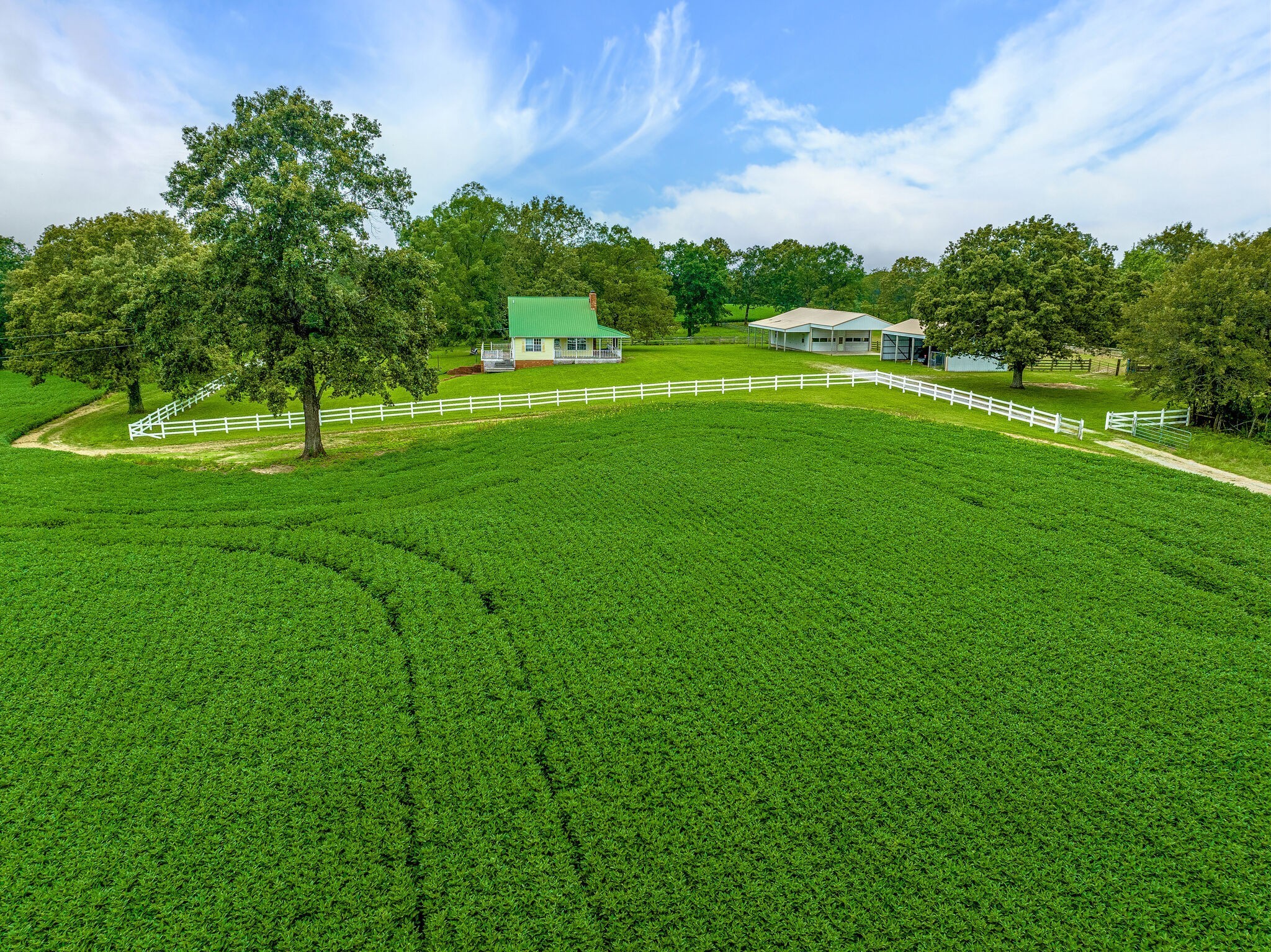 2385 Sylvia Road Dickson, TN 37055 - Photo 13 of 46 a view of a big yard with a large trees