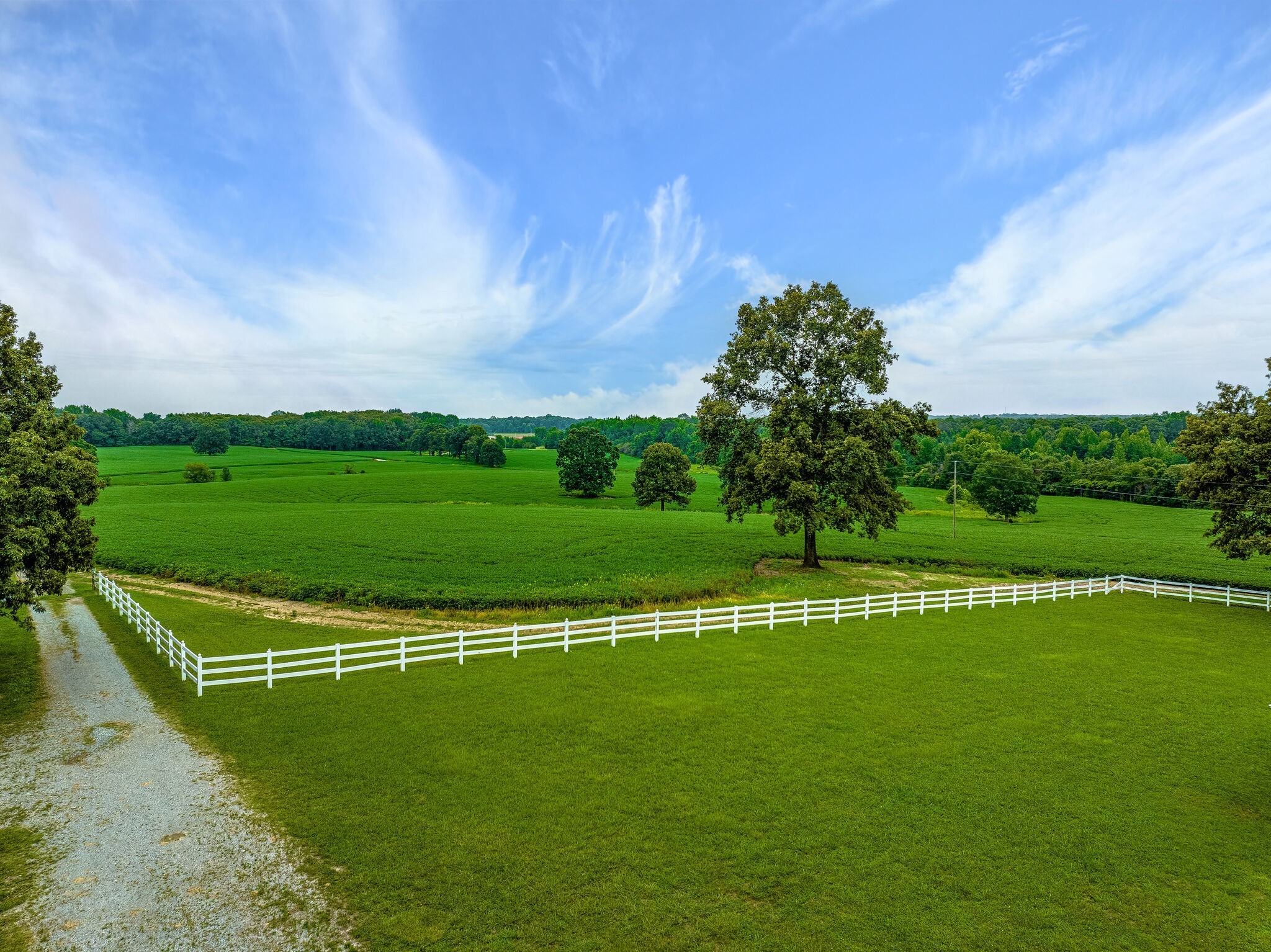 2385 Sylvia Road Dickson, TN 37055 - Photo 14 of 46 a view of a golf course with a lake