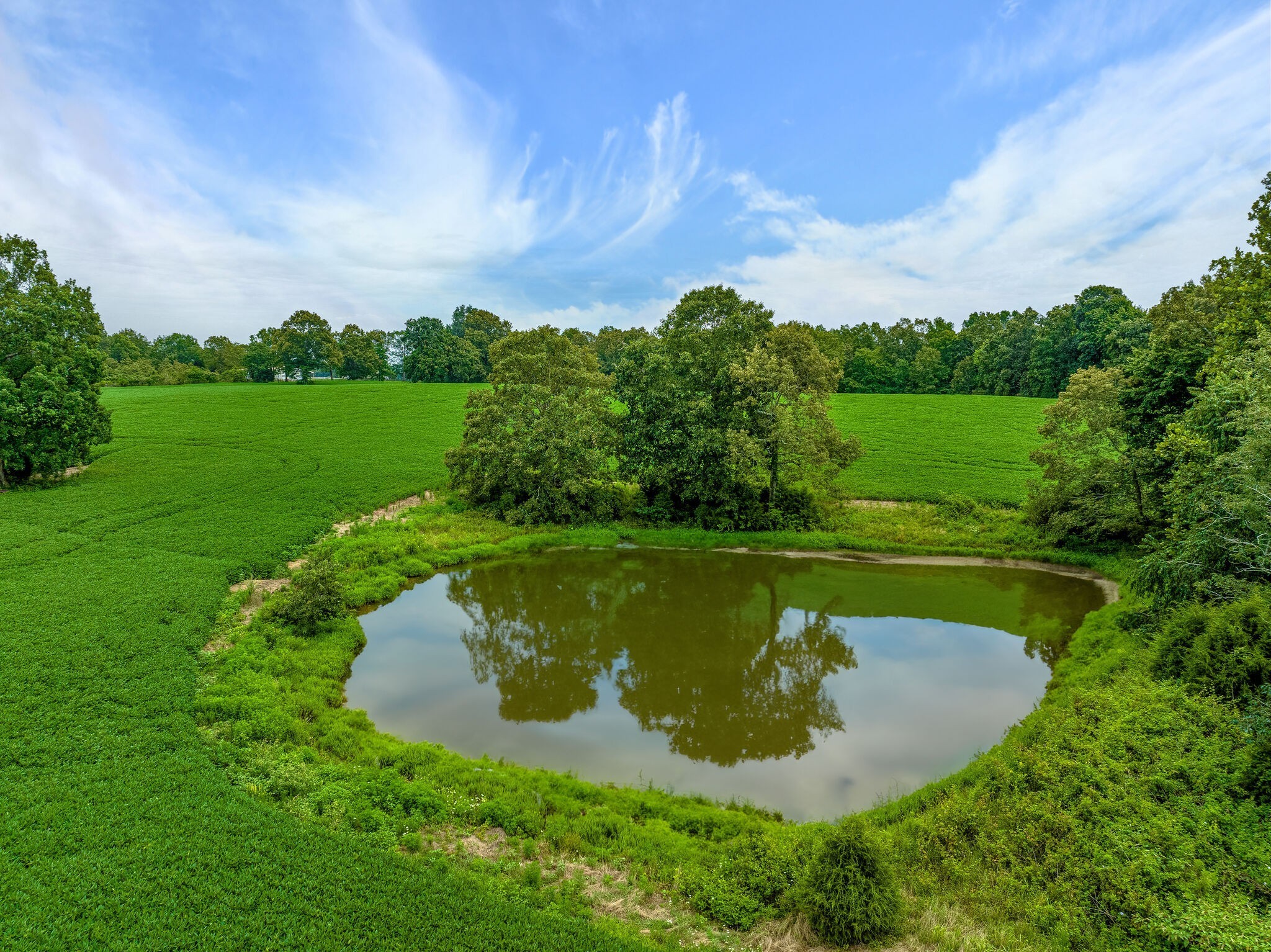 2385 Sylvia Road Dickson, TN 37055 - Photo 16 of 46 a view of a lake with a yard