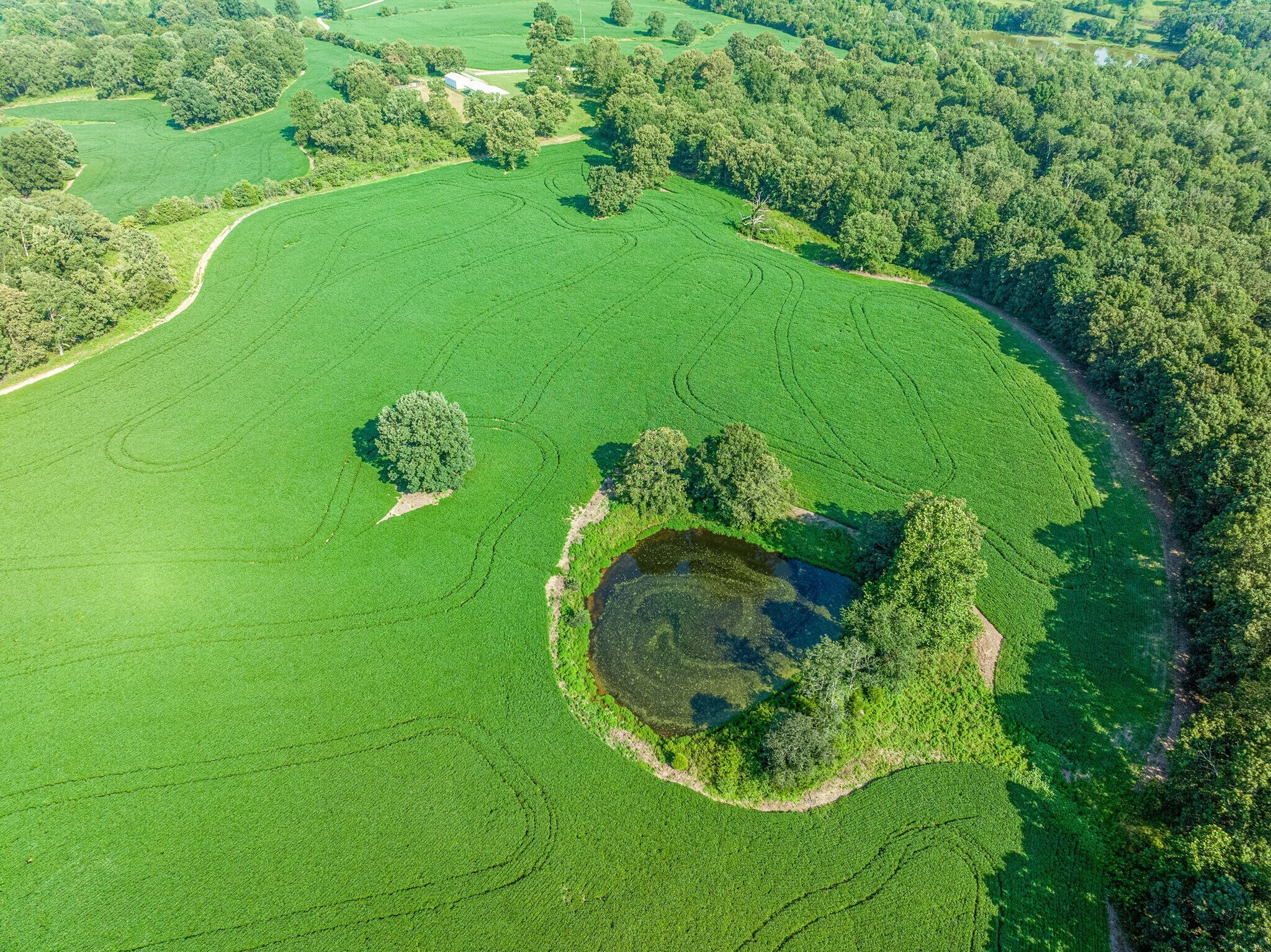 2385 Sylvia Road Dickson, TN 37055 - Photo 17 of 46