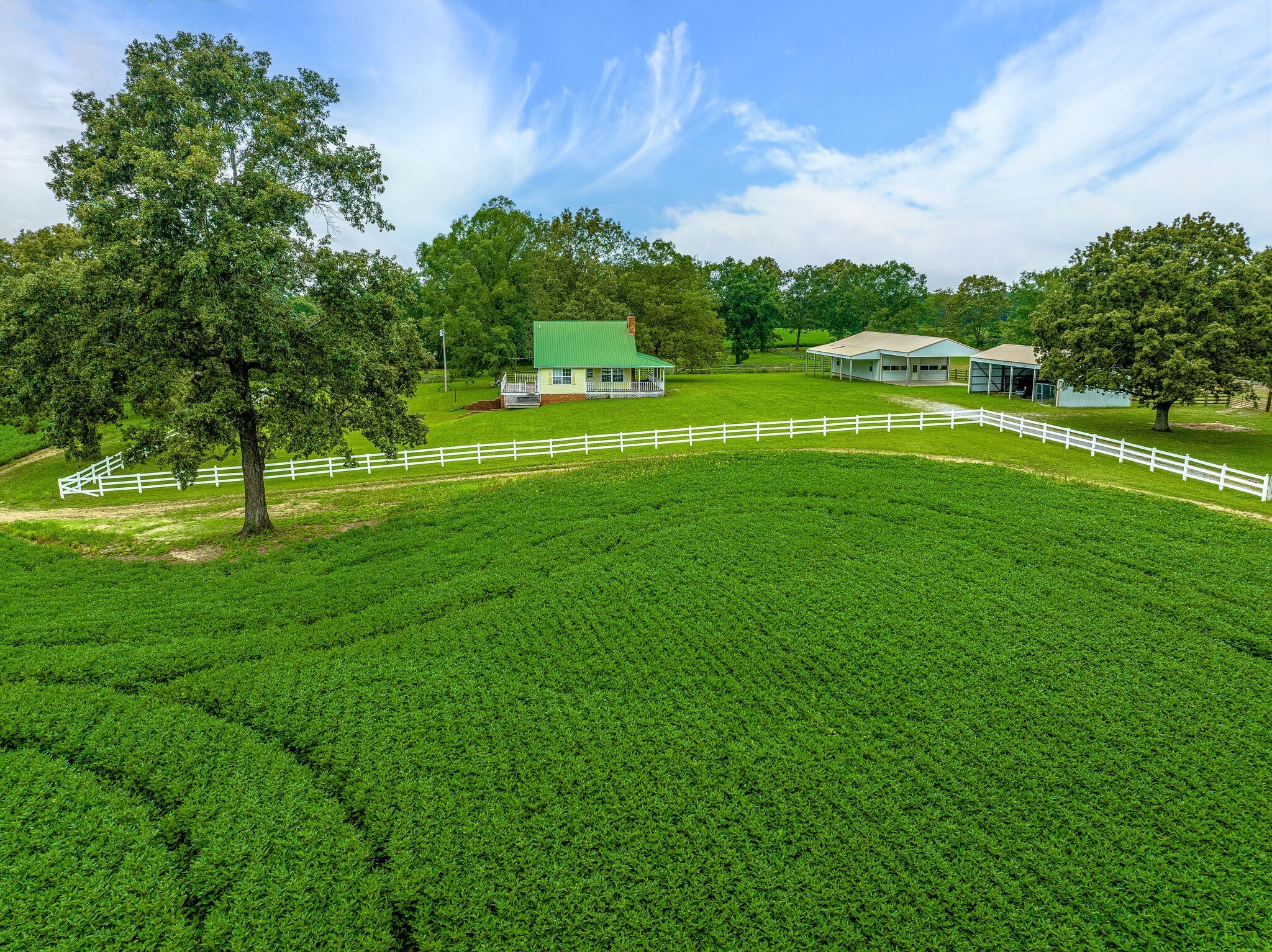 2385 Sylvia Road Dickson, TN 37055 - Photo 29 of 46 a view of a golf course with a lake view