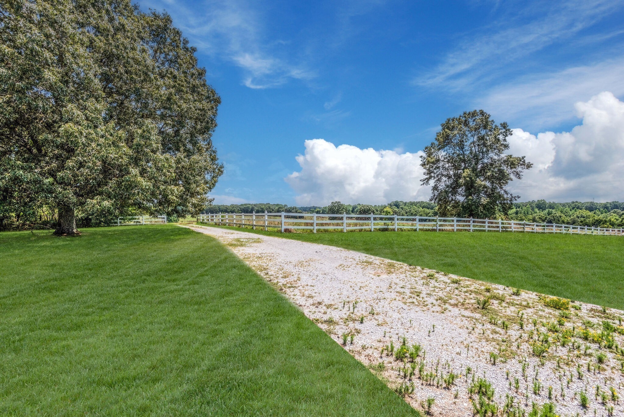 2385 Sylvia Road Dickson, TN 37055 - Photo 31 of 46 a view of a golf course with a lake