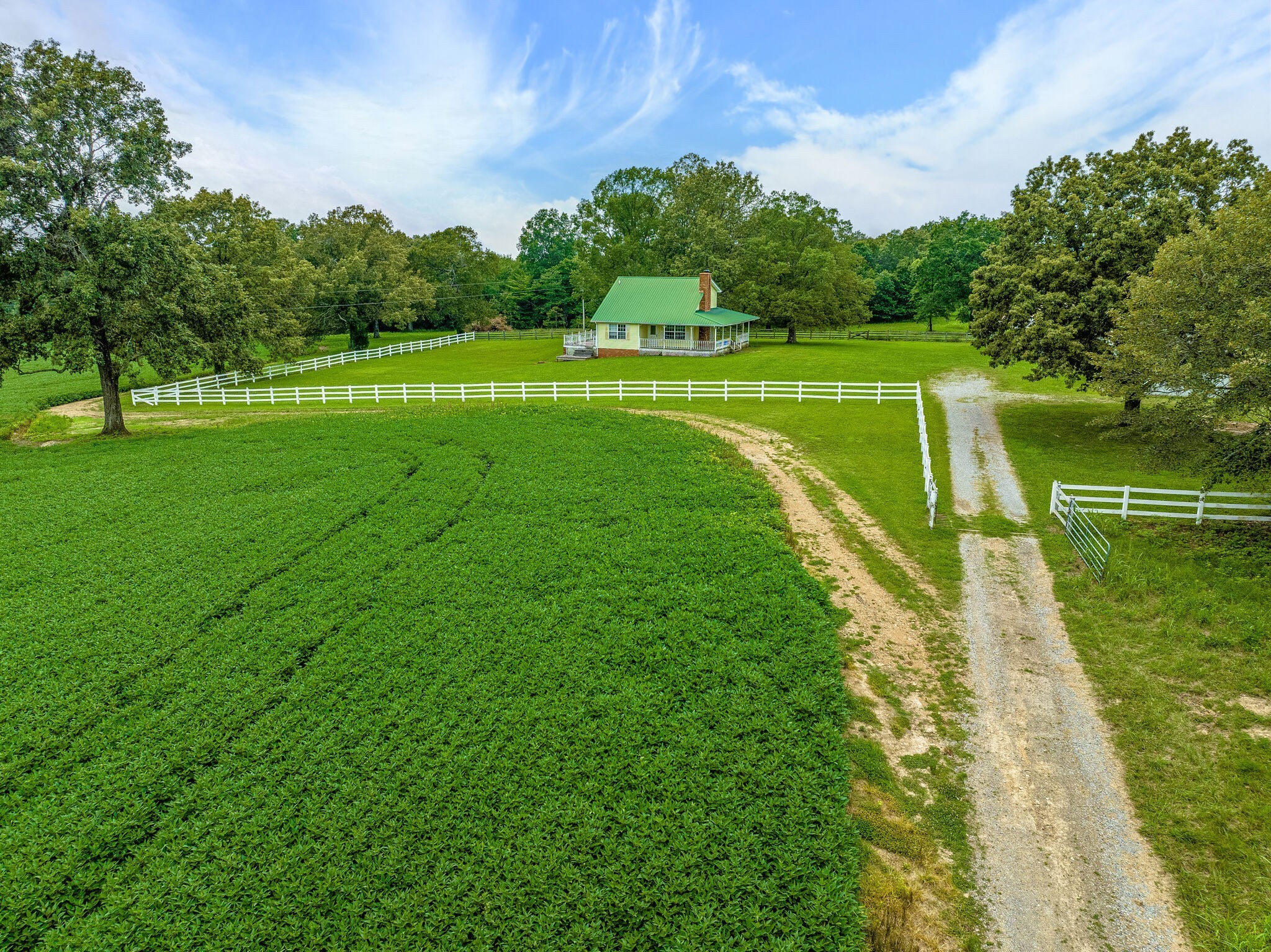 2385 Sylvia Road Dickson, TN 37055 - Photo 37 of 46 a view of a golf course with a lake