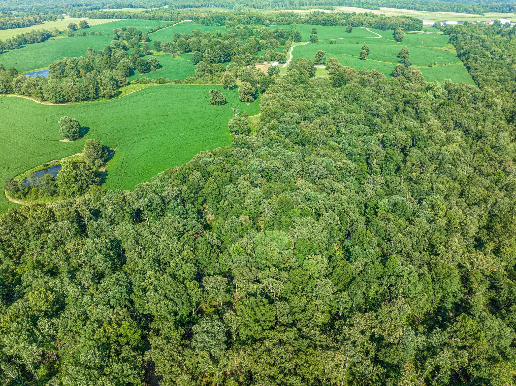 2385 Sylvia Road Dickson, TN 37055 - Photo 40 of 46 a view of a garden with a plants and large trees