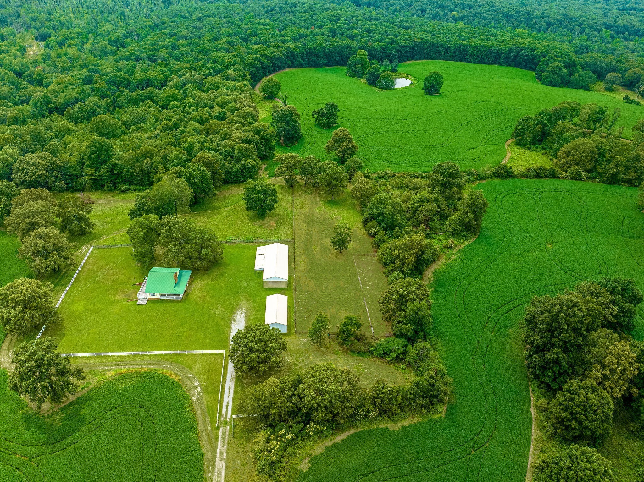 2385 Sylvia Road Dickson, TN 37055 - Photo 4 of 46 a green field with lots of green space