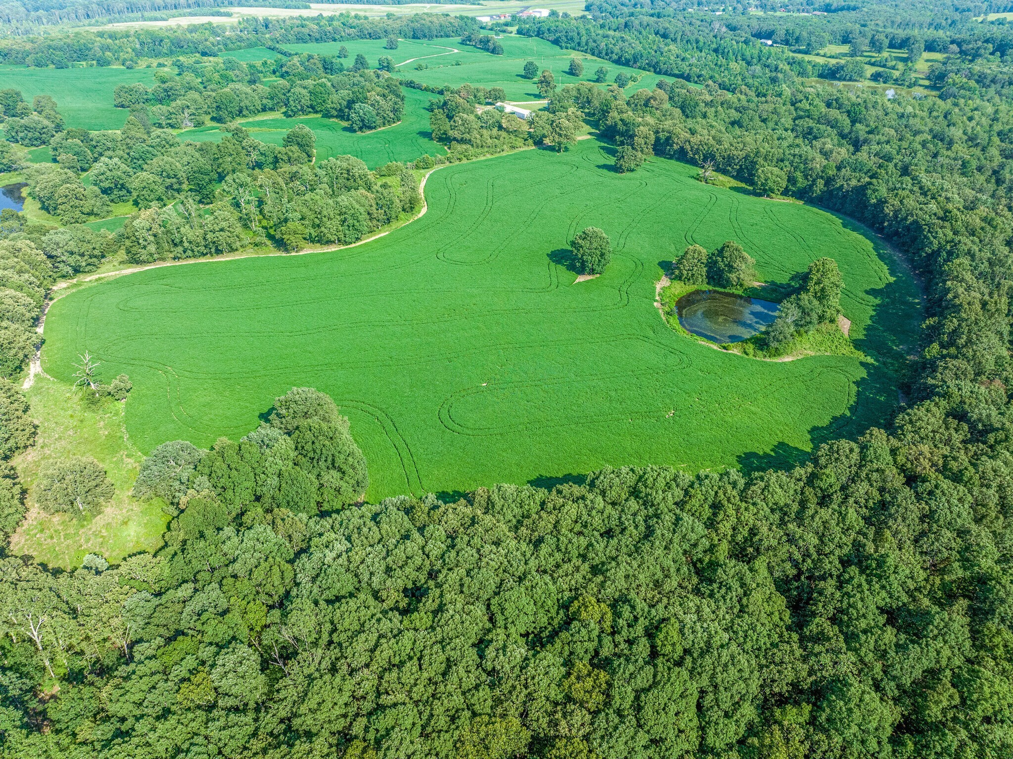 2385 Sylvia Road Dickson, TN 37055 - Photo 41 of 46 an aerial view of a golf course with a lake view