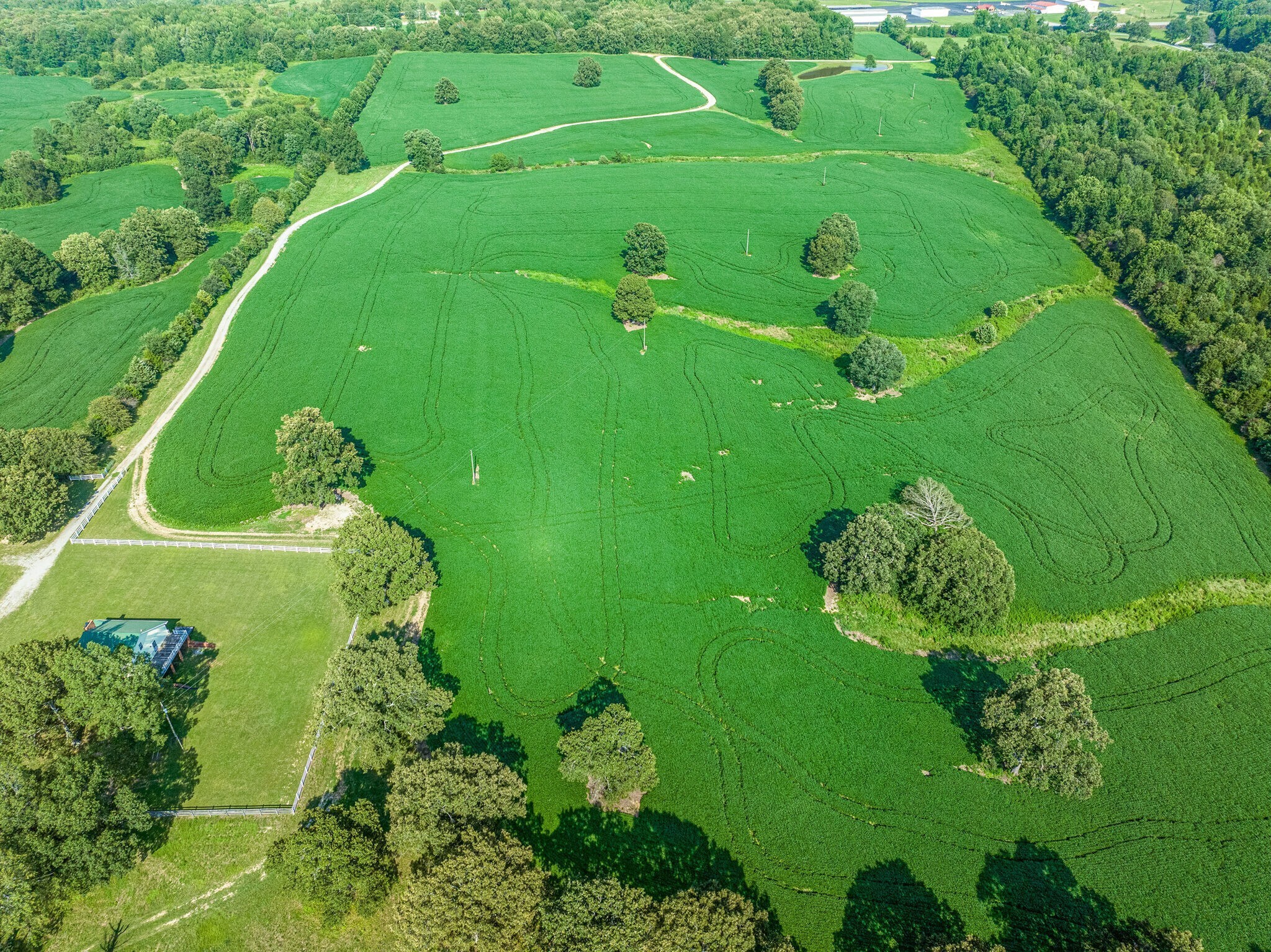 2385 Sylvia Road Dickson, TN 37055 - Photo 5 of 46 a green field with lots of green space