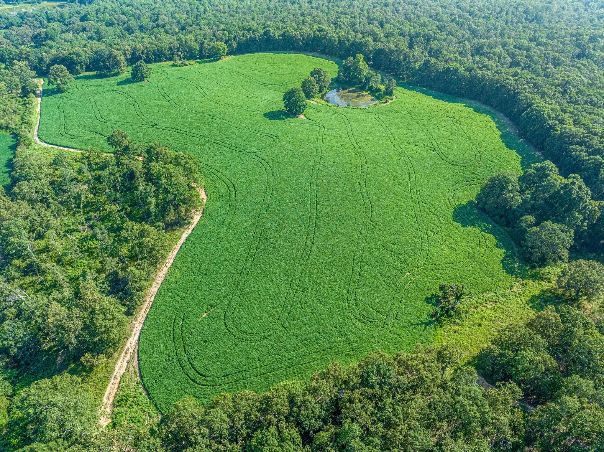 2385 Sylvia Road Dickson, TN 37055 - Photo 7 of 46 a view of a golf course with green space