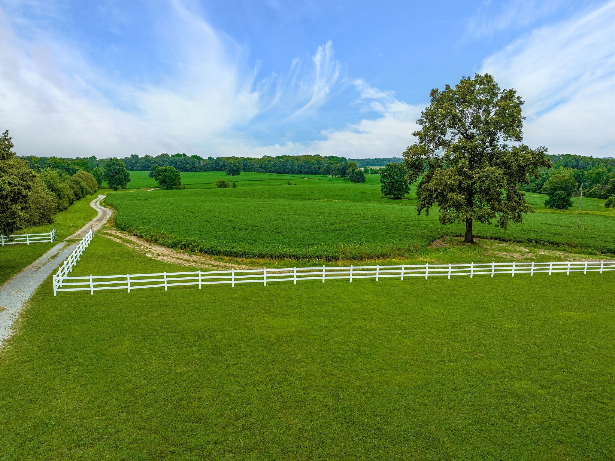 2385 Sylvia Road Dickson, TN 37055 - Photo 10 of 46 a view of a tennis court