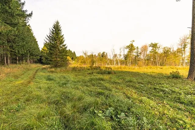 $1,400,000 | Lt0 Lt0 County Road, Mitchell, WI 53011