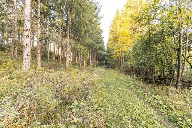 $1,400,000 | Lt0 Lt0 County Road, Mitchell, WI 53011