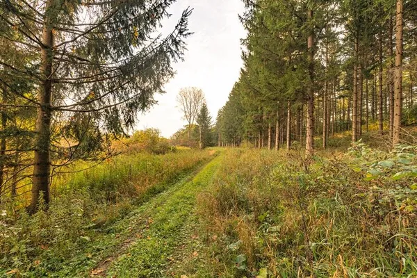 $1,400,000 | Lt0 Lt0 County Road, Mitchell, WI 53011