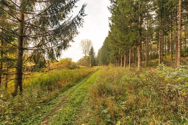 $1,400,000 | Lt0 Lt0 County Road, Mitchell, WI 53011