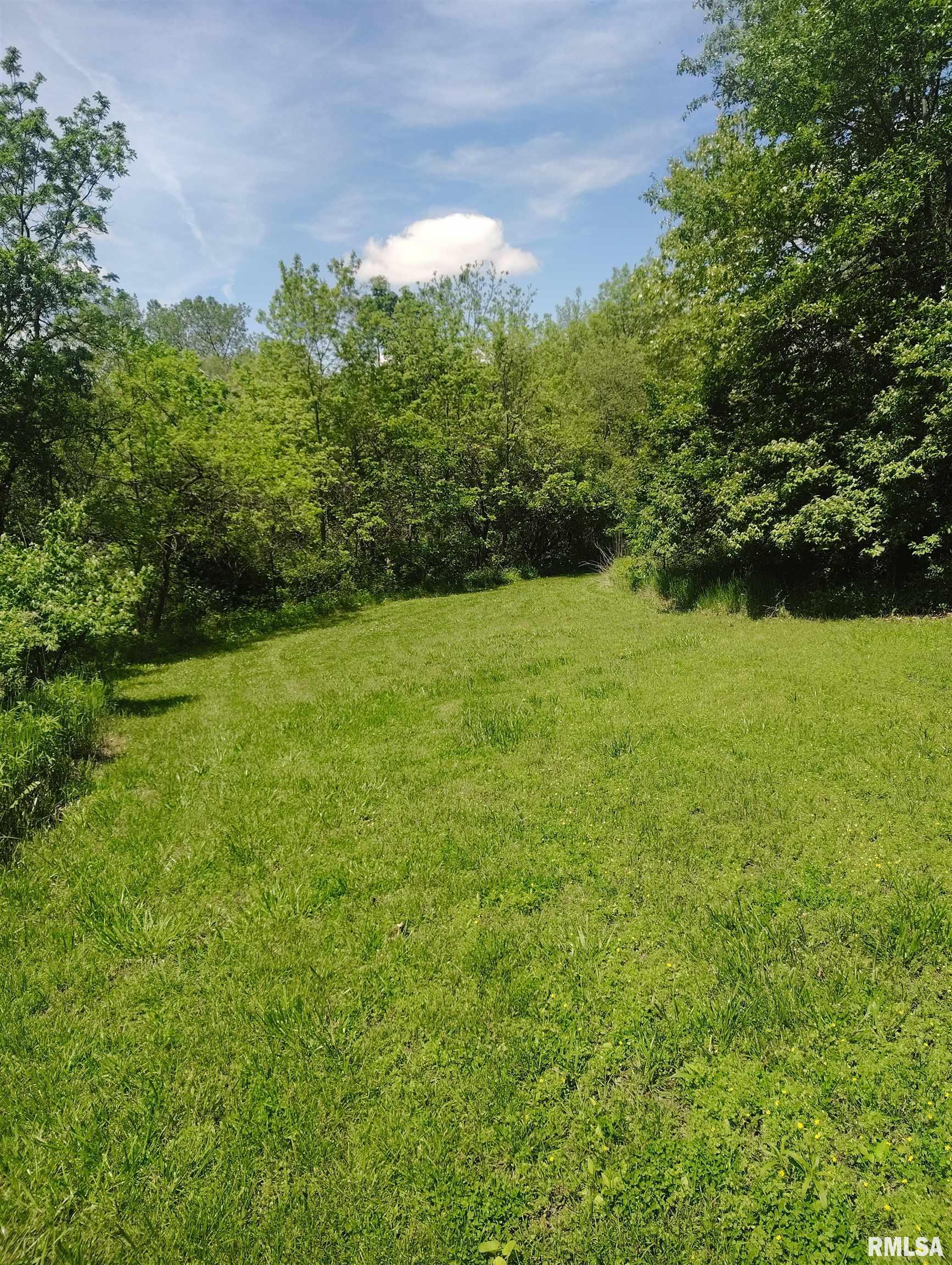 30720 North Norris Blacktop Road Farmington, IL 61531 - Photo 12 of 94