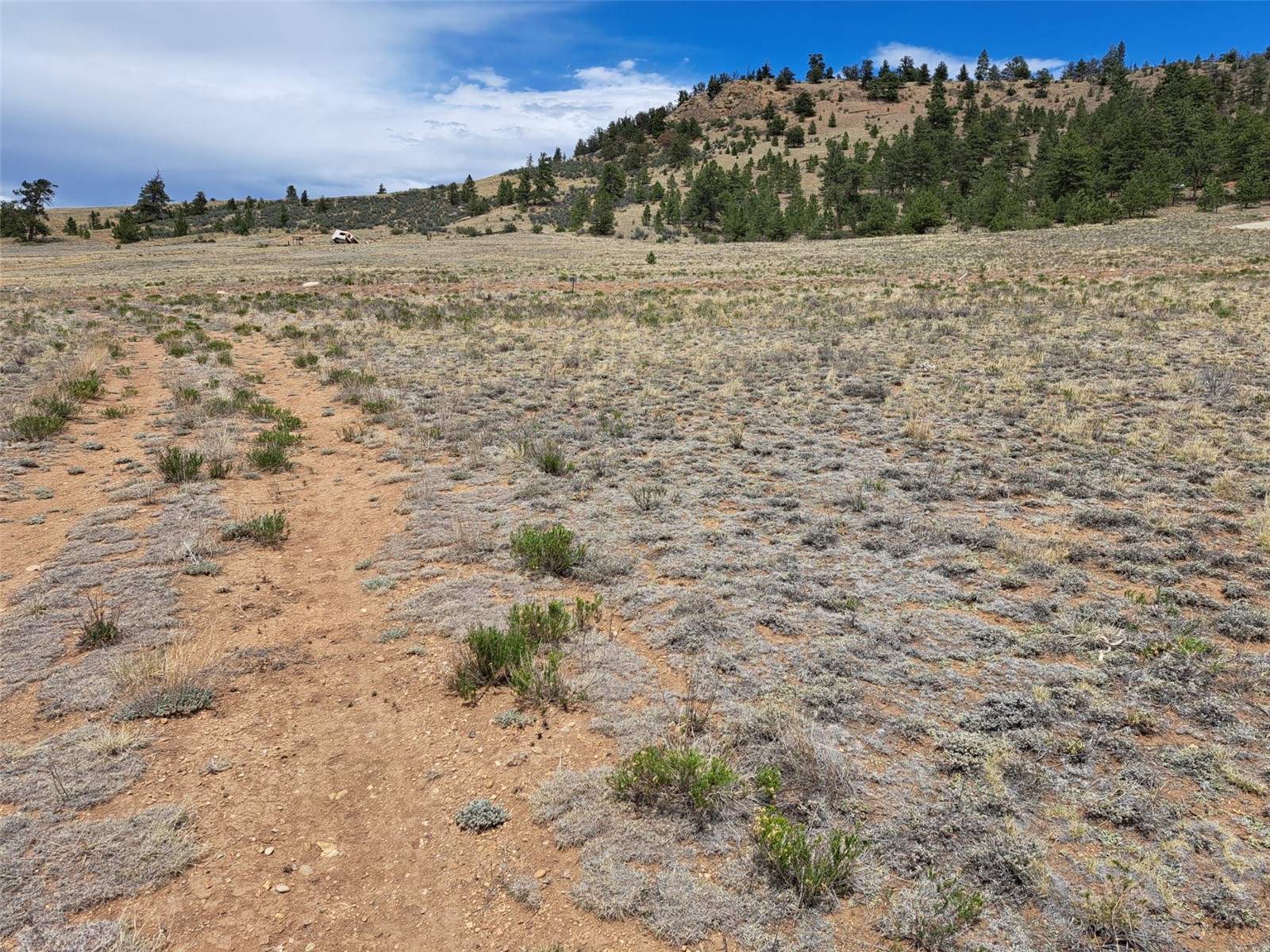0 Cohonina Road Hartsel, CO 80449 - Photo 10 of 20 a view of a field with a dry yard