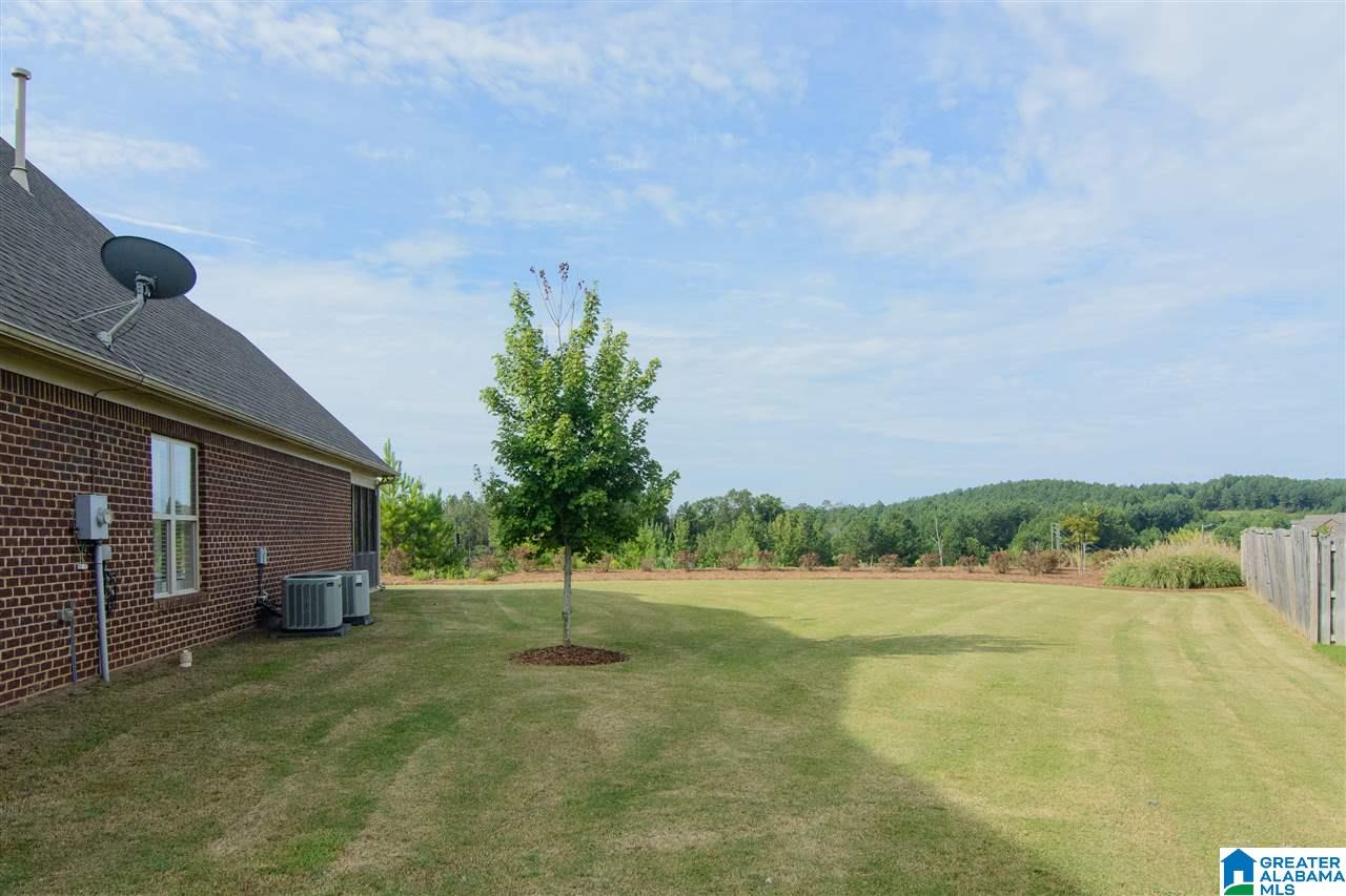 1077 Evan Circle Chelsea, AL 35043 - Photo 47 of 49