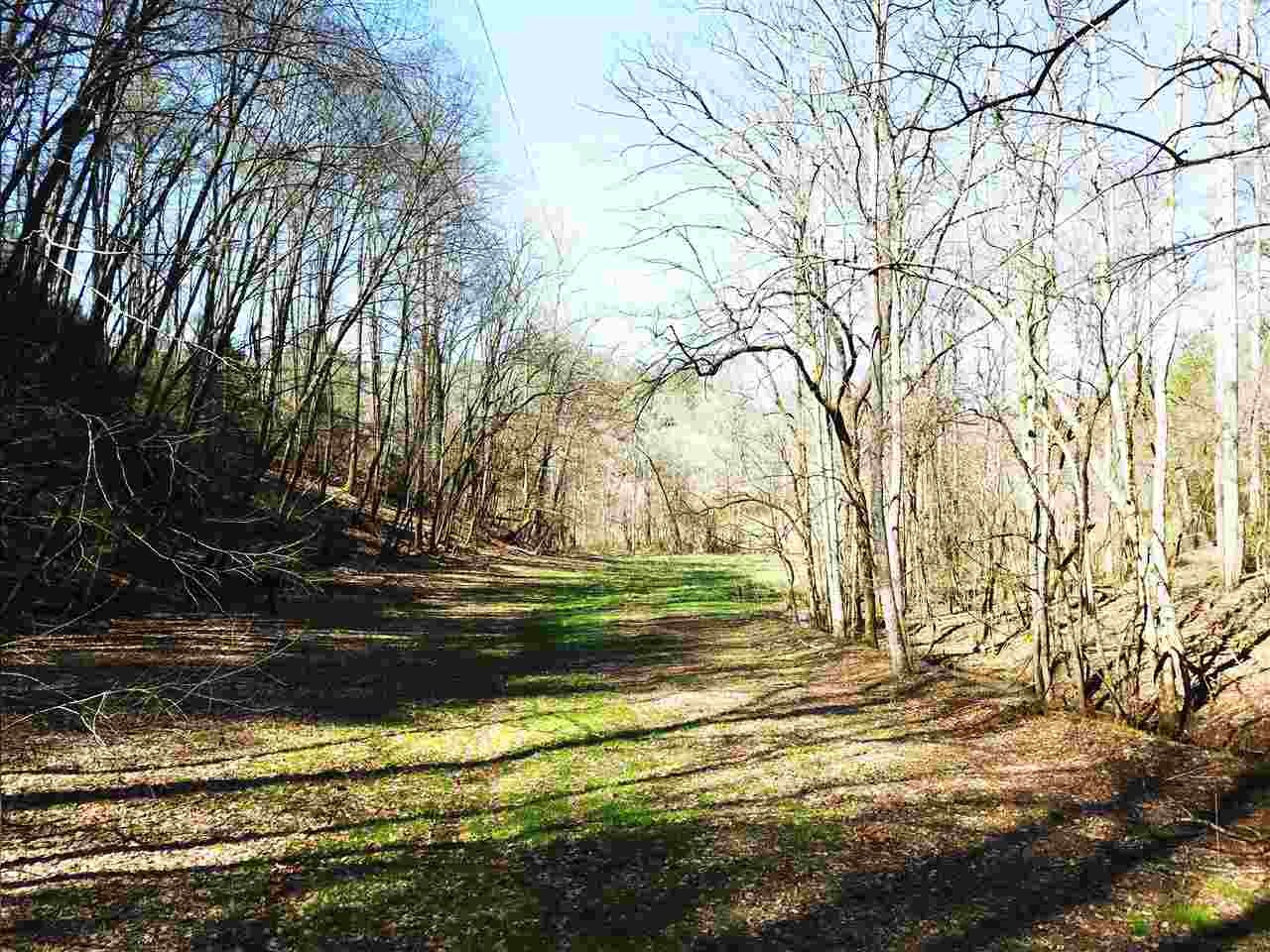 0 Towee Pike Reliance, TN 37369 - Photo 4 of 41