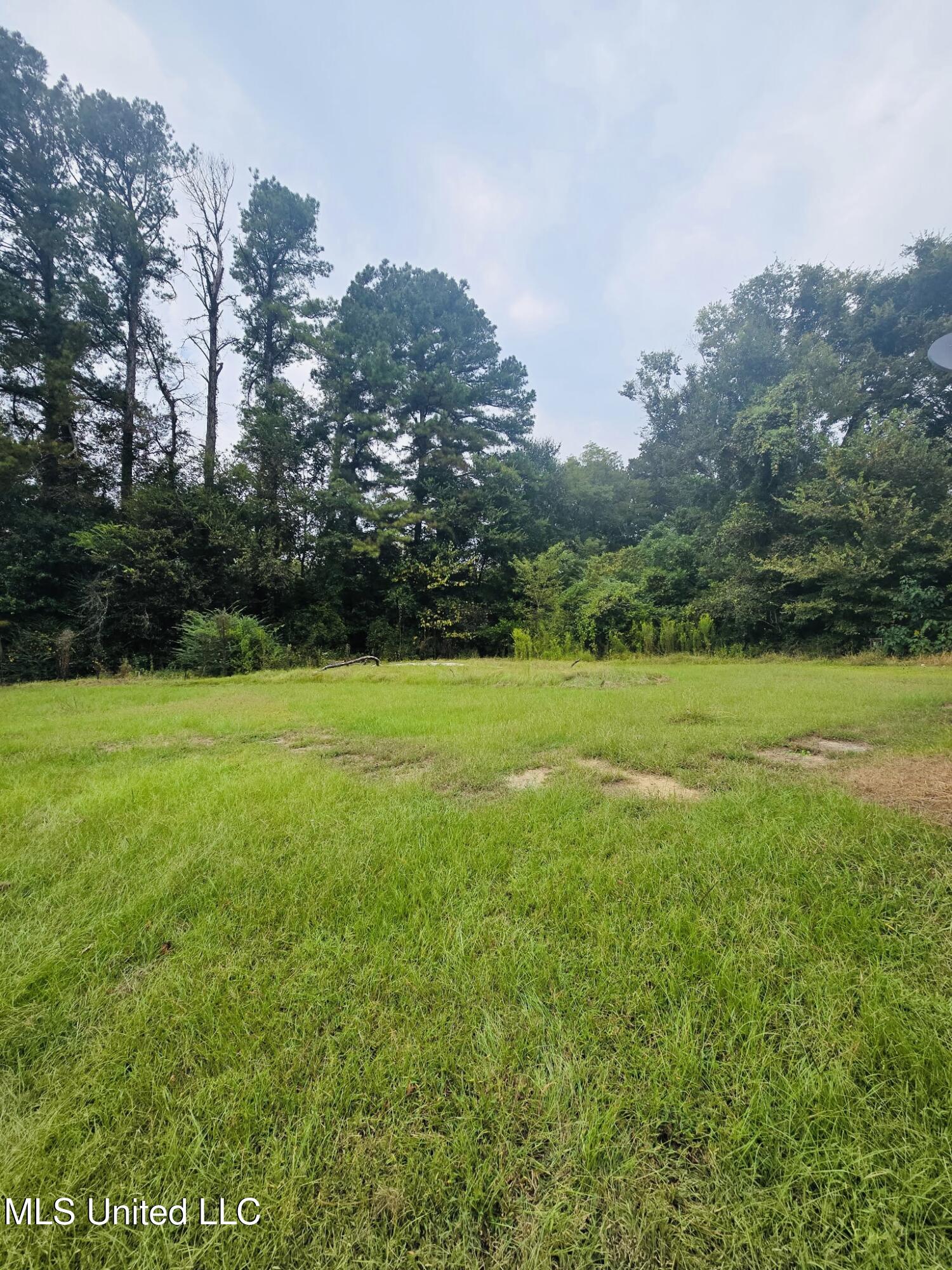 110 Old Tchula Road Lexington, MS 39095 - Photo 6 of 7 1485870880740317921