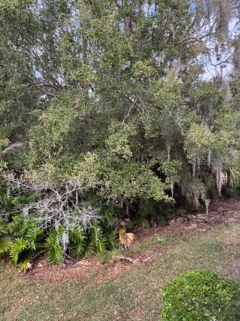 122 Cypress Lane, Unit 122 Oldsmar, FL 34677 - Photo 35 of 40