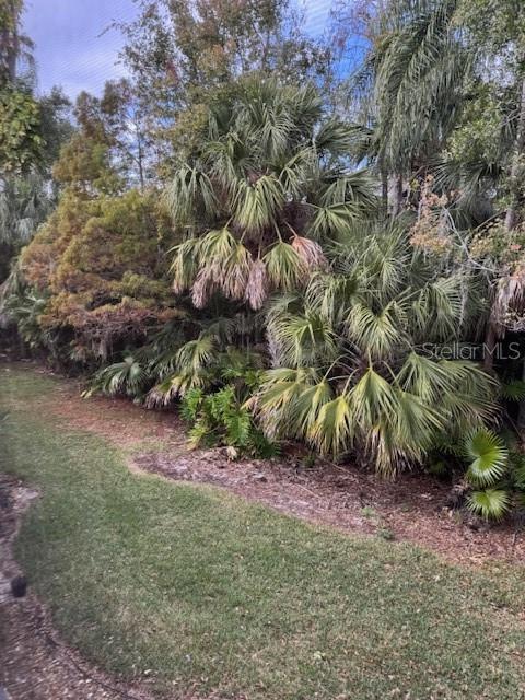 122 Cypress Lane, Unit 122 Oldsmar, FL 34677 - Photo 38 of 40