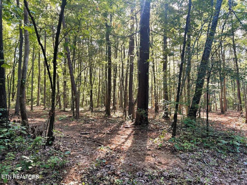 5 Pleasant Hill Road Ten Mile, TN 37880 - Photo 12 of 19 5 PH 11