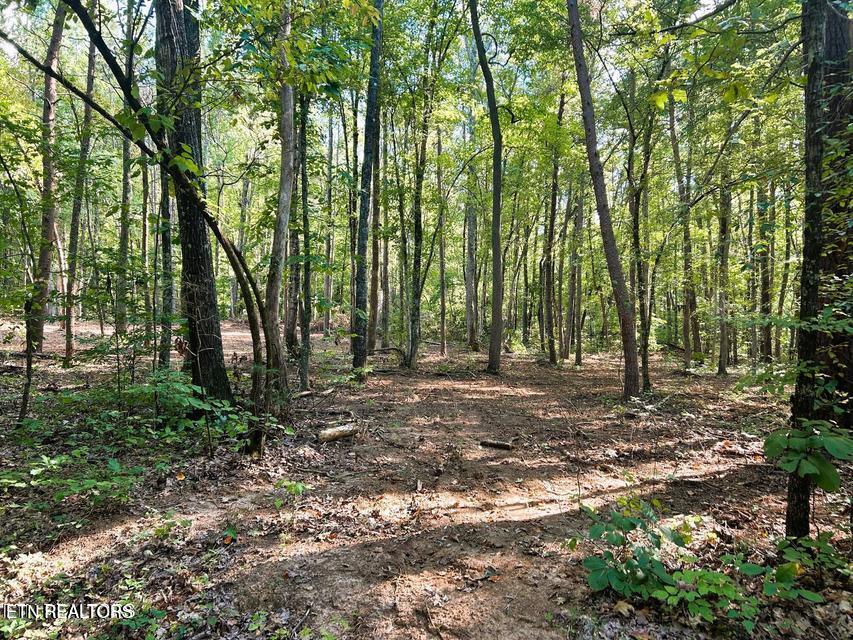 5 Pleasant Hill Road Ten Mile, TN 37880 - Photo 13 of 19 5 PH 12