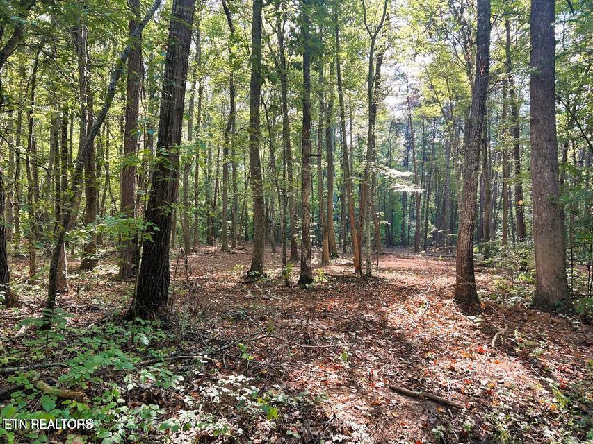 5 Pleasant Hill Road Ten Mile, TN 37880 - Photo 14 of 19 5 PH 13