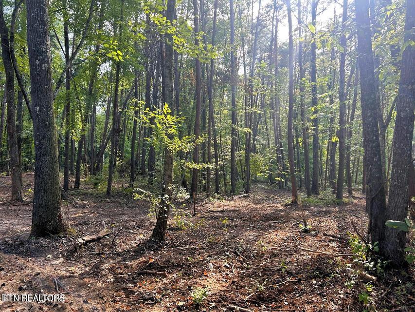 5 Pleasant Hill Road Ten Mile, TN 37880 - Photo 15 of 19 5 PH 15