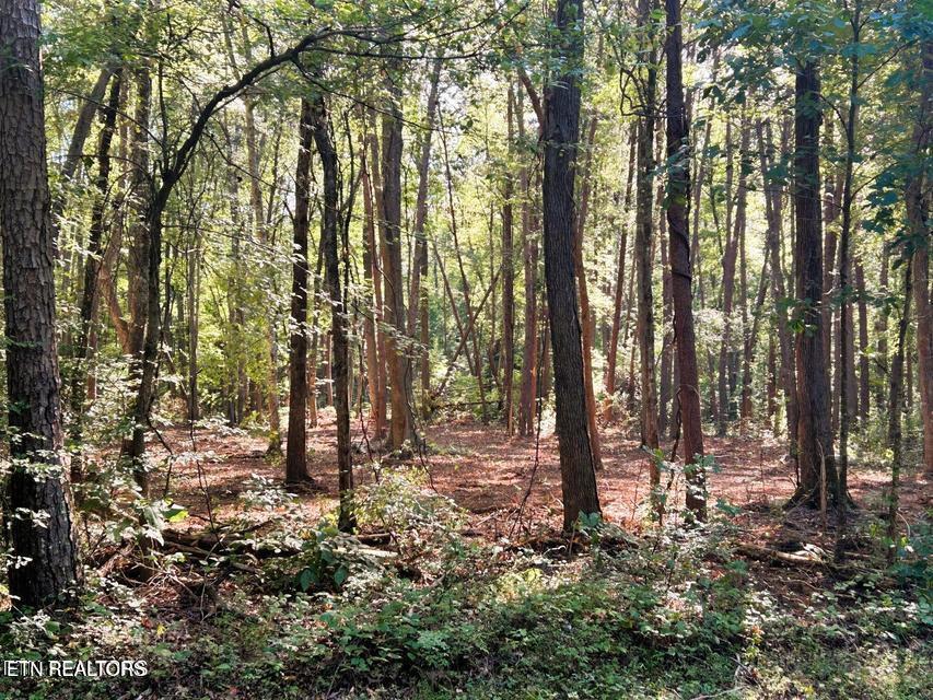 5 Pleasant Hill Road Ten Mile, TN 37880 - Photo 16 of 19 5 PH 14