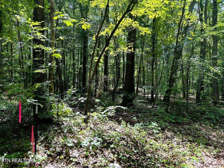 5 Pleasant Hill Road Ten Mile, TN 37880 - Photo 17 of 19 5 PH 10
