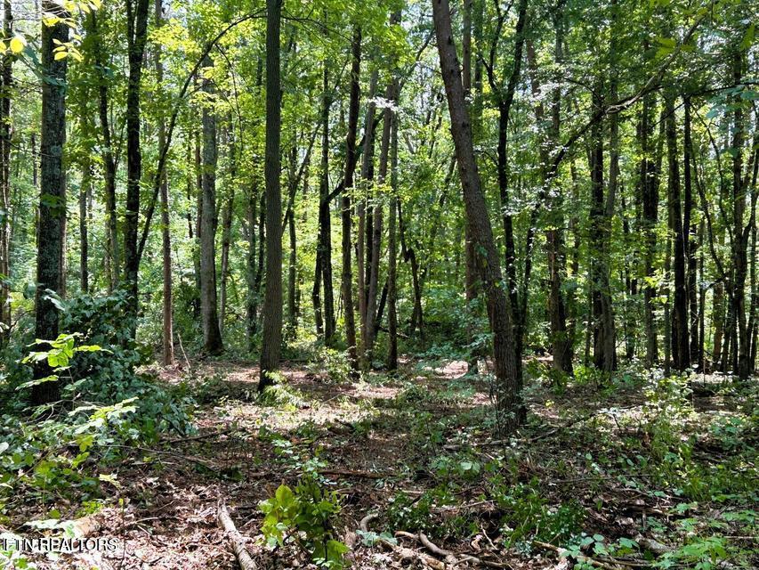 5 Pleasant Hill Road Ten Mile, TN 37880 - Photo 18 of 19 5 PH 9