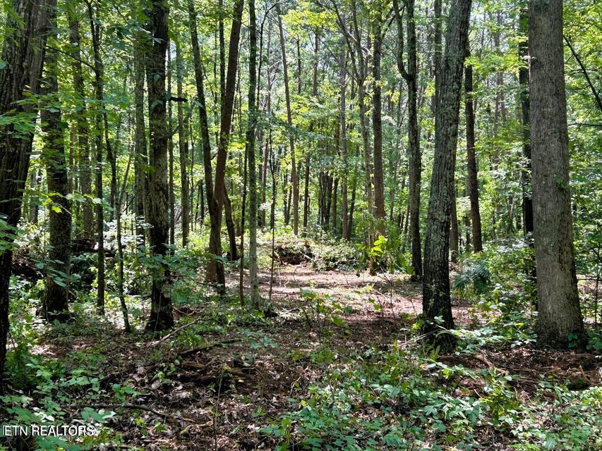 5 Pleasant Hill Road Ten Mile, TN 37880 - Photo 19 of 19 5 PH 8