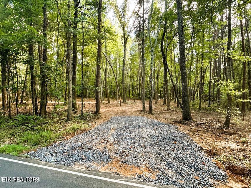 5 Pleasant Hill Road Ten Mile, TN 37880 - Photo 2 of 19 5 PH 1