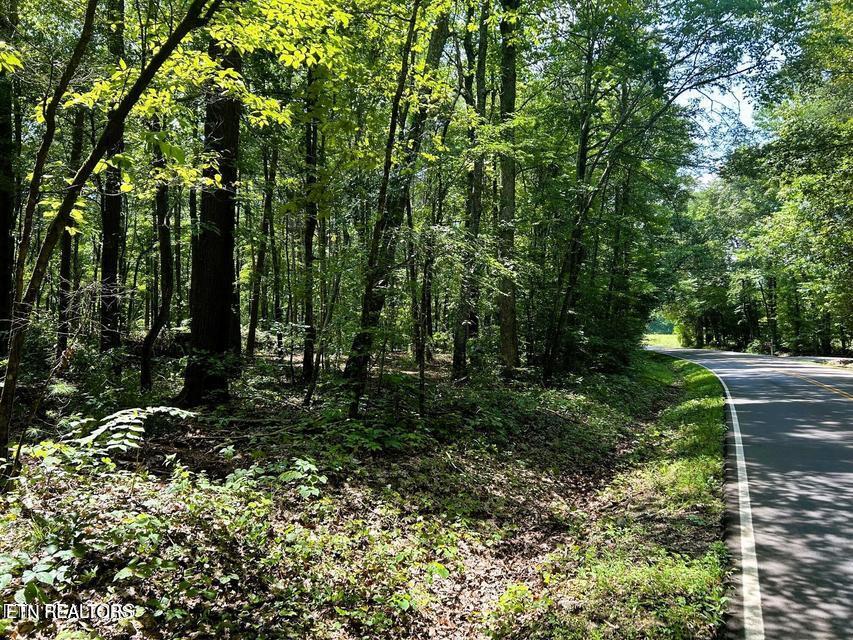 5 Pleasant Hill Road Ten Mile, TN 37880 - Photo 4 of 19 5 PH 6
