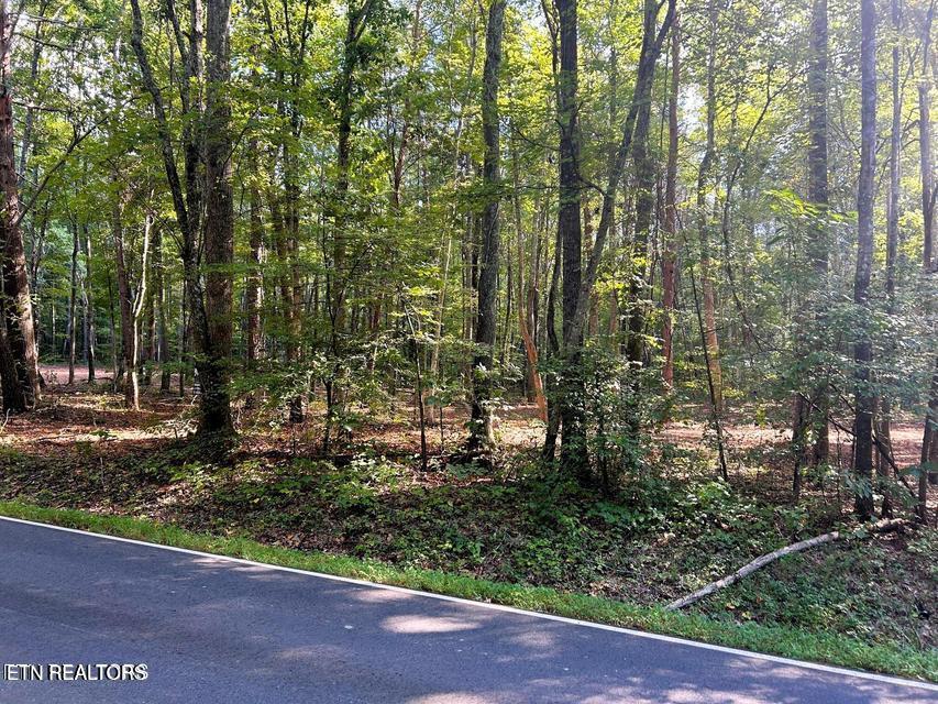 5 Pleasant Hill Road Ten Mile, TN 37880 - Photo 5 of 19 5 PH Road Front
