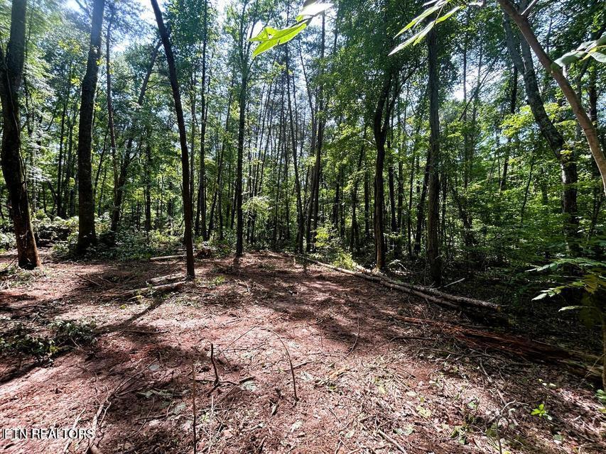 5 Pleasant Hill Road Ten Mile, TN 37880 - Photo 6 of 19 5 PH 7