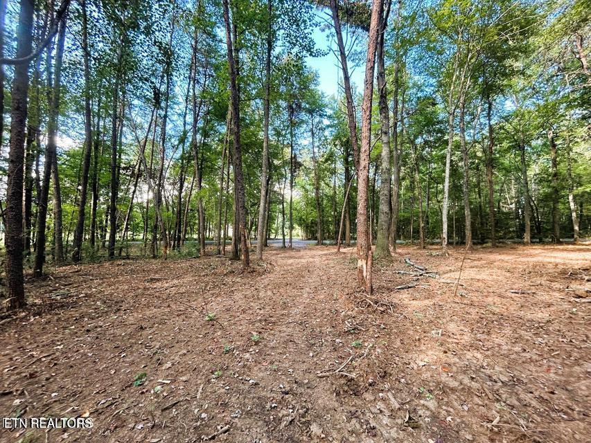 5 Pleasant Hill Road Ten Mile, TN 37880 - Photo 7 of 19 5 PH main