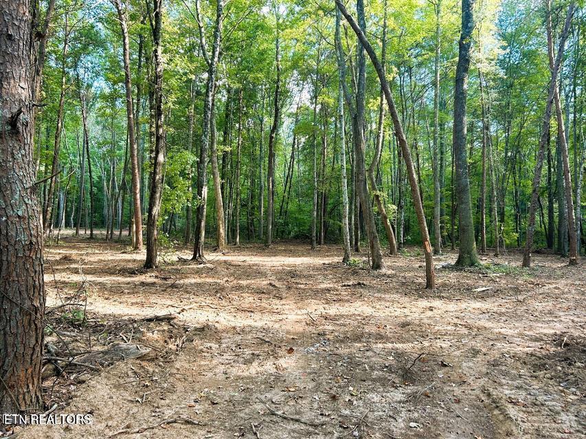 5 Pleasant Hill Road Ten Mile, TN 37880 - Photo 8 of 19 5 PH 2