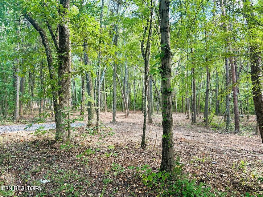 5 Pleasant Hill Road Ten Mile, TN 37880 - Photo 9 of 19 5 PH 5