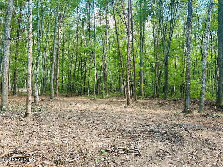 5 Pleasant Hill Road Ten Mile, TN 37880 - Photo 10 of 19 5 PH 4