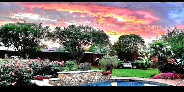 a view of a flower in a garden