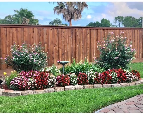 a view of a garden with a lot of flowers