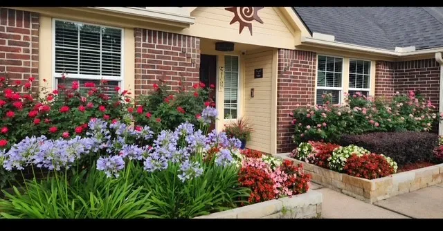 a view of a potted plant sitting in front of a house