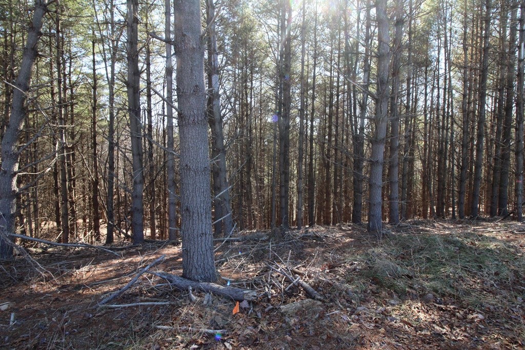 Tbd Ivanhoe Road, Unit 60A34 Fries, VA 24330 - Photo 29 of 45 Gallery Image 29