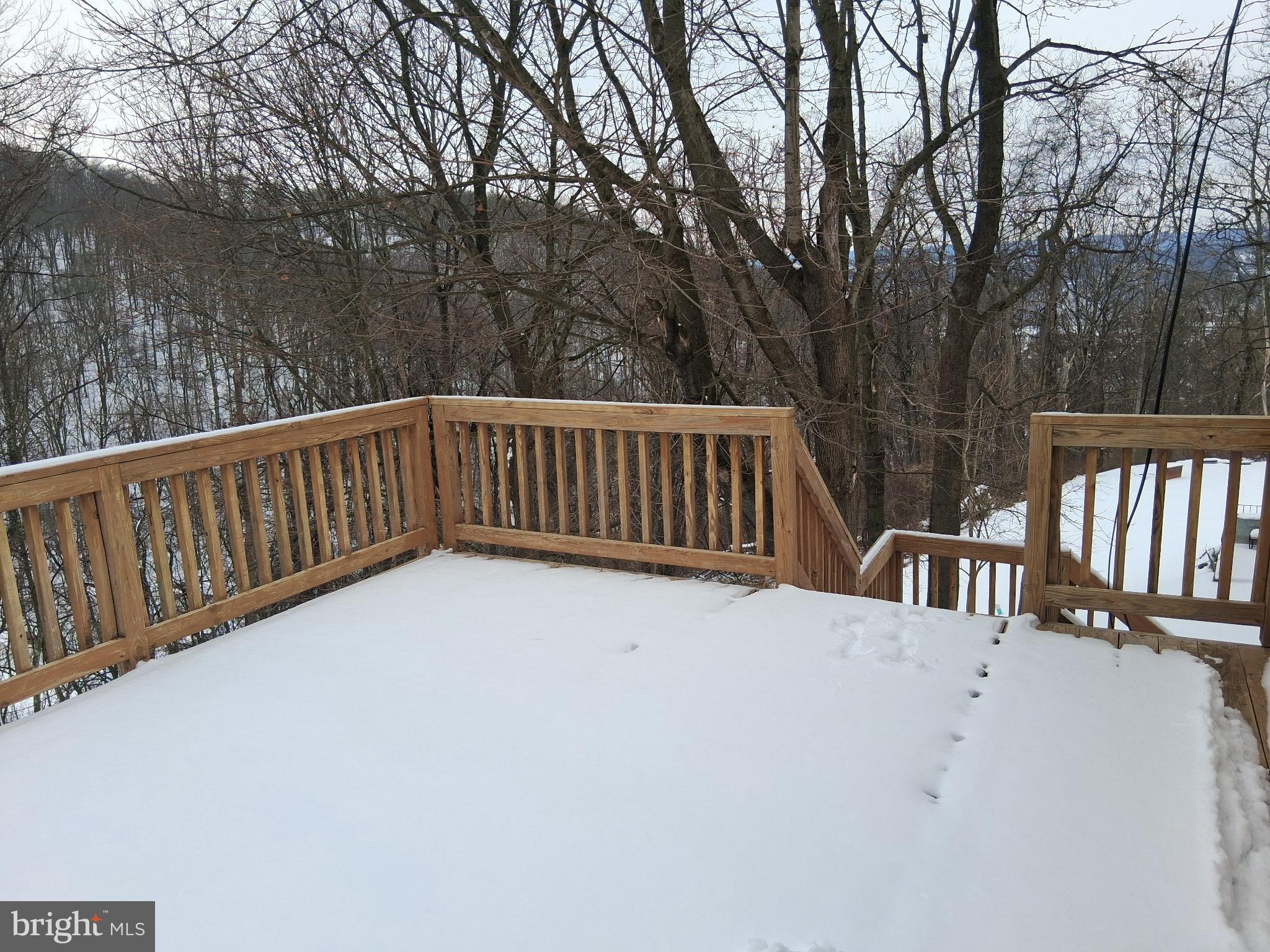 265 View Street Johnstown, PA 15902 - Photo 14 of 60 Deck with serene woodland views picture #1.