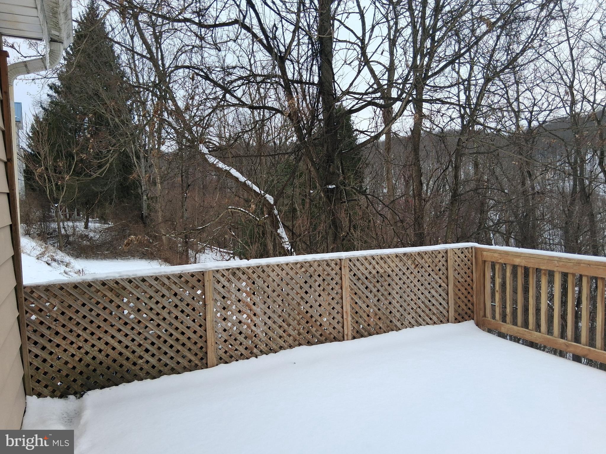 265 View Street Johnstown, PA 15902 - Photo 15 of 60 Deck with snowy views picture #2.