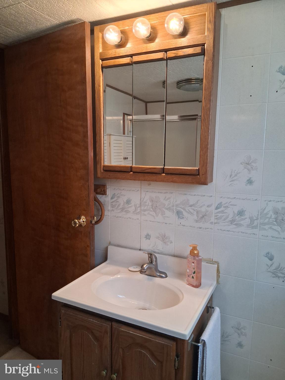 265 View Street Johnstown, PA 15902 - Photo 24 of 64 a bathroom with a sink and a mirror